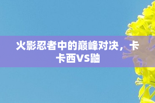 火影忍者中的巅峰对决，卡卡西VS鼬