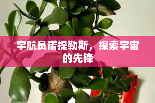 宇航员诺提勒斯，探索宇宙的先锋