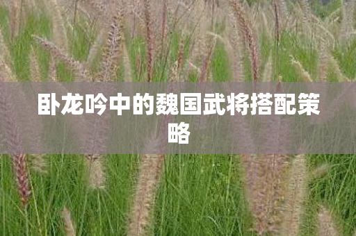 卧龙吟中的魏国武将搭配策略