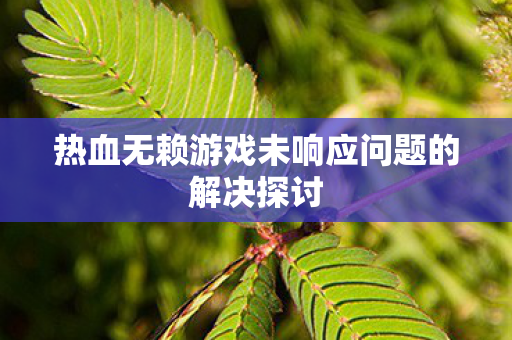 热血无赖游戏未响应问题的解决探讨