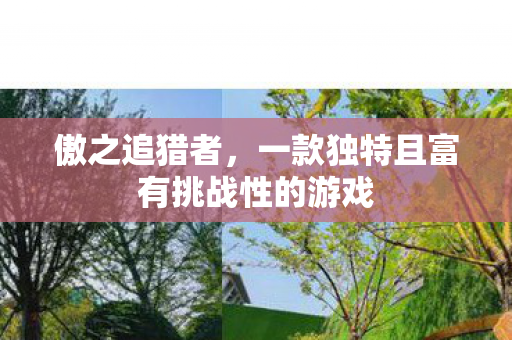 傲之追猎者，一款独特且富有挑战性的游戏