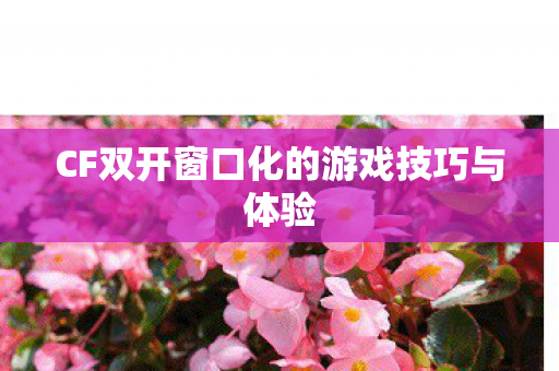 CF双开窗口化的游戏技巧与体验