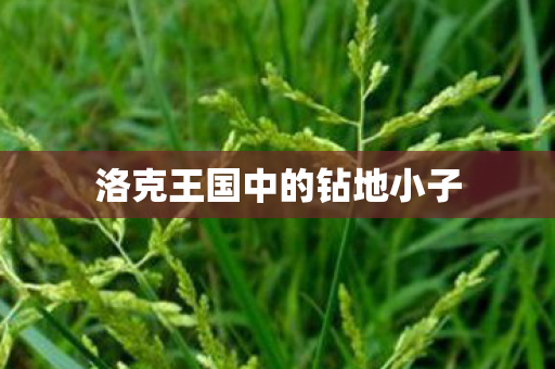 洛克王国中的钻地小子