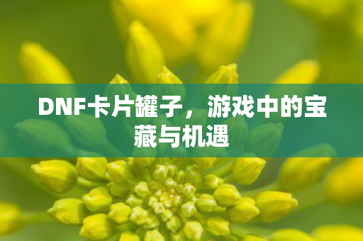 DNF卡片罐子，游戏中的宝藏与机遇