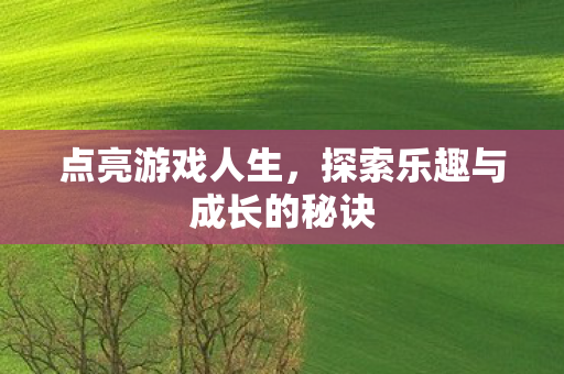 点亮游戏人生，探索乐趣与成长的秘诀