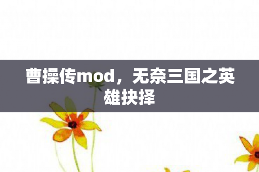 曹操传mod，无奈三国之英雄抉择