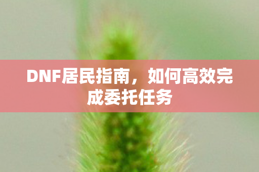 DNF居民指南，如何高效完成委托任务
