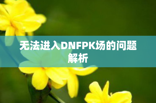 无法进入DNFPK场的问题解析