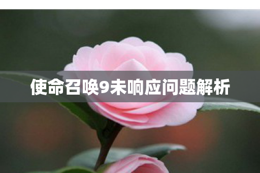 使命召唤9未响应问题解析