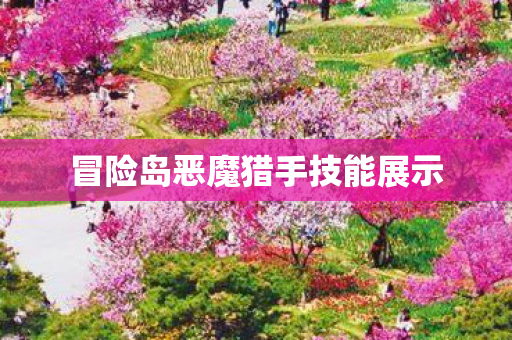 冒险岛恶魔猎手技能展示
