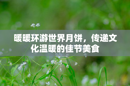 暖暖环游世界月饼，传递文化温暖的佳节美食