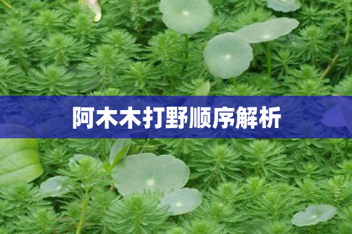 阿木木打野顺序解析