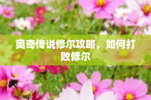 奥奇传说修尔攻略，如何打败修尔