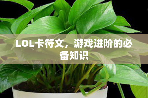 LOL卡符文，游戏进阶的必备知识
