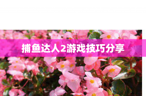 捕鱼达人2游戏技巧分享