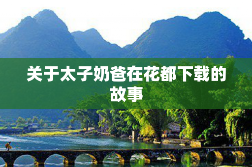 关于太子奶爸在花都下载的故事 关于太子奶爸在花都下载的故事