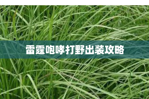 雷霆咆哮打野出装攻略