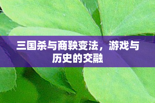 三国杀与商鞅变法，游戏与历史的交融