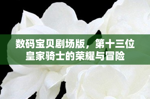 数码宝贝剧场版，第十三位皇家骑士的荣耀与冒险