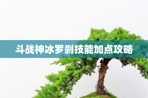 斗战神冰罗刹技能加点攻略