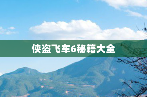 侠盗飞车6秘籍大全