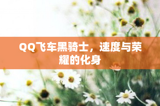 QQ飞车黑骑士，速度与荣耀的化身