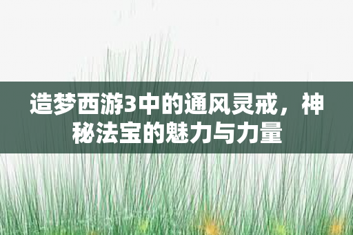 造梦西游3中的通风灵戒，神秘法宝的魅力与力量