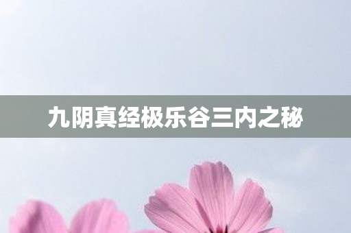 九阴真经极乐谷三内之秘