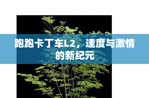 跑跑卡丁车L2，速度与激情的新纪元