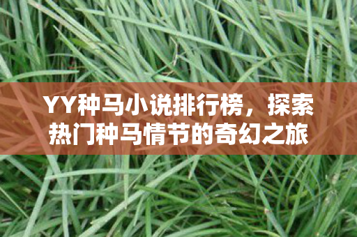 YY种马小说排行榜，探索热门种马情节的奇幻之旅