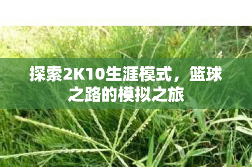 探索2K10生涯模式，篮球之路的模拟之旅