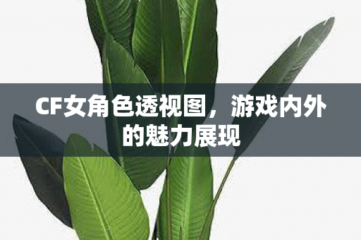 CF女角色透视图，游戏内外的魅力展现