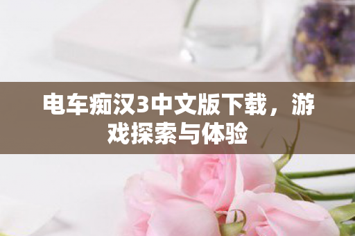 电车痴汉3中文版下载，游戏探索与体验