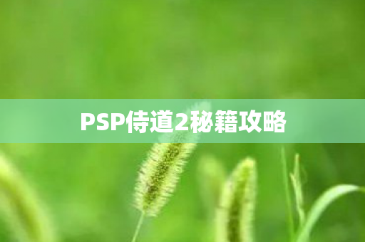 PSP侍道2秘籍攻略