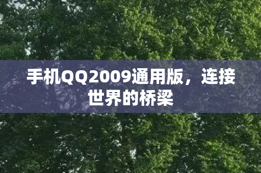 手机QQ2009通用版，连接世界的桥梁