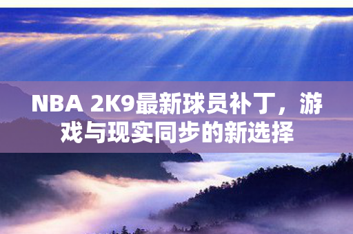 NBA 2K9最新球员补丁，游戏与现实同步的新选择