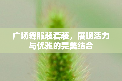 广场舞服装套装，展现活力与优雅的完美结合
