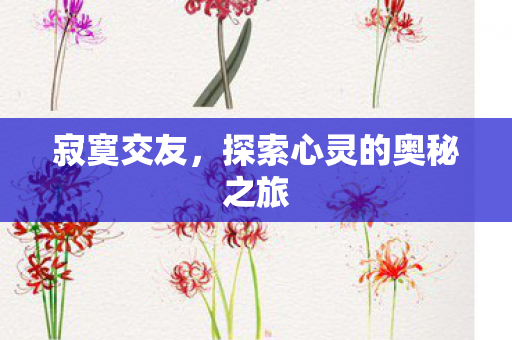 寂寞交友，探索心灵的奥秘之旅