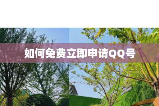 如何免费立即申请QQ号