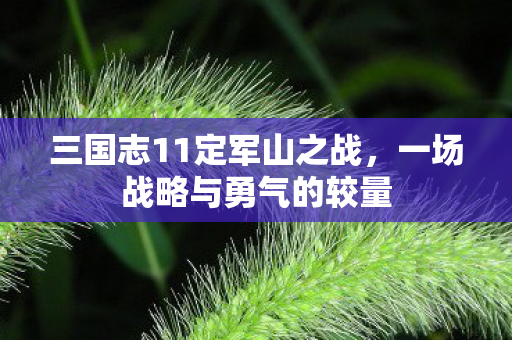 三国志11定军山之战，一场战略与勇气的较量