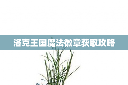 洛克王国魔法徽章获取攻略