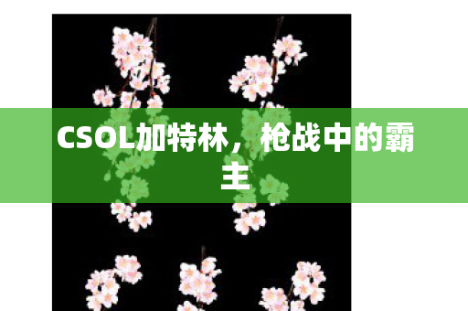 CSOL加特林，枪战中的霸主