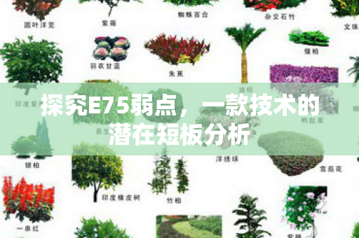 探究E75弱点，一款技术的潜在短板分析