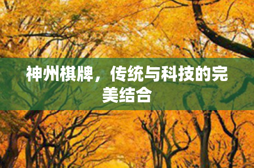 神州棋牌，传统与科技的完美结合