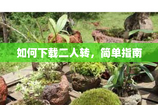 如何下载二人转，简单指南