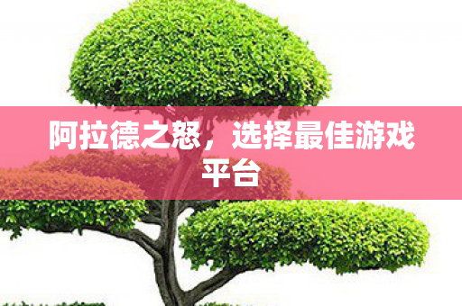 阿拉德之怒，选择最佳游戏平台