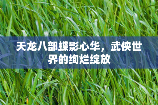天龙八部蝶影心华，武侠世界的绚烂绽放
