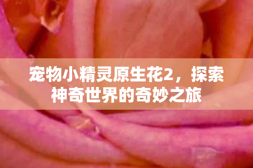 宠物小精灵原生花2，探索神奇世界的奇妙之旅