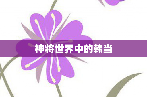 神将世界中的韩当