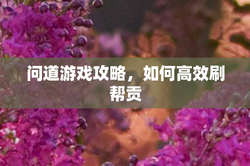 问道游戏攻略，如何高效刷帮贡